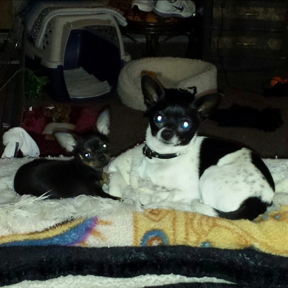 ♡ - Picture 8 of 13